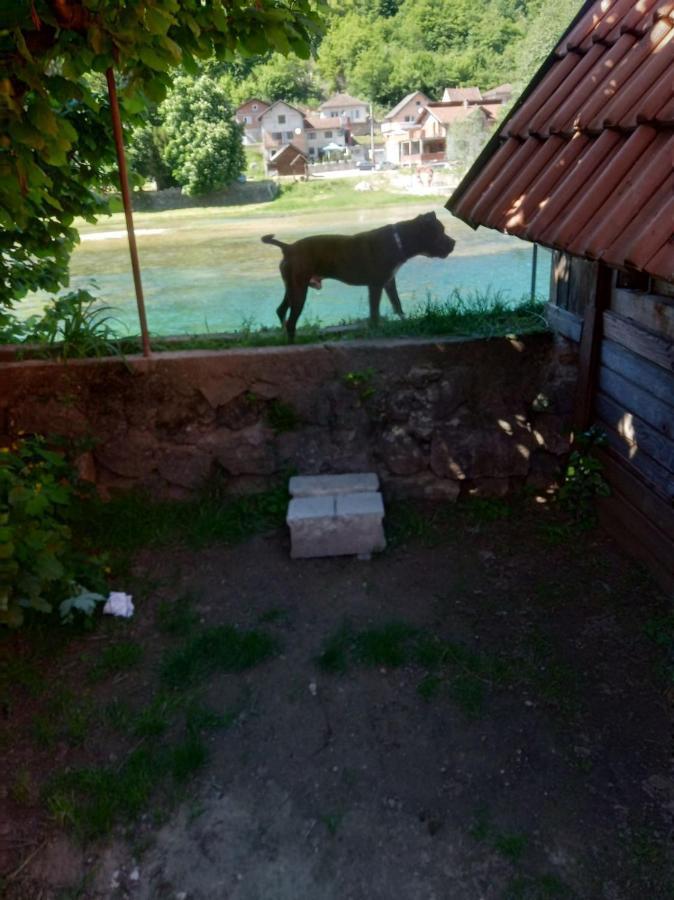 Alfa Apartman Kulen Vakuf Kültér fotó