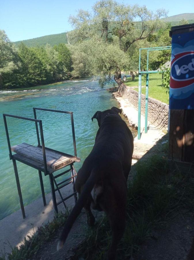 Alfa Apartman Kulen Vakuf Kültér fotó